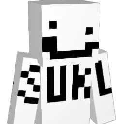 Darius9575 Minecraft avatar bust