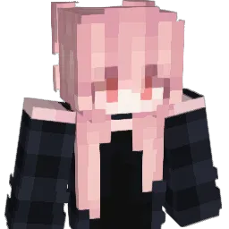 DarkCatSleep Minecraft avatar bust