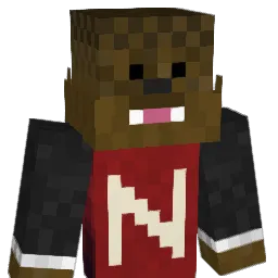 DarkDog1222 Minecraft avatar bust