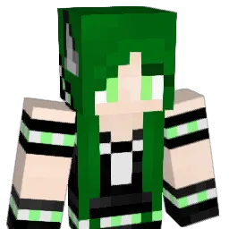 DarkFoxeh Minecraft avatar bust