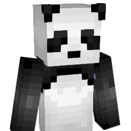 DarkIcy64 Minecraft avatar bust