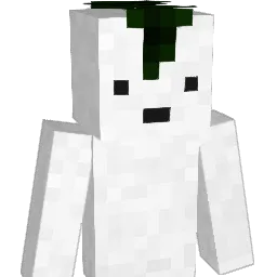 DarkMc22 Minecraft avatar bust