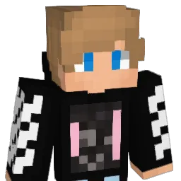 DarkMight10 Minecraft avatar bust