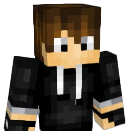 DarkN_ Minecraft avatar bust