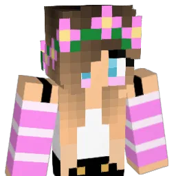 DarkShadow1248 Minecraft avatar bust