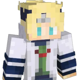 DarkSkyG Minecraft avatar bust