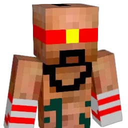DarkTorchic Minecraft avatar bust