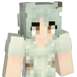 DarkWhite44 Minecraft avatar bust