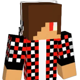 Darkfall211 Minecraft avatar bust