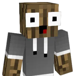 Darki_2000 Minecraft avatar bust