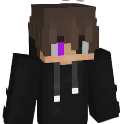 Darklighttttttt Minecraft avatar bust
