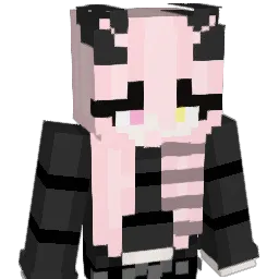 Darknessmage501 Minecraft avatar bust