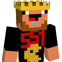 Darks551 Minecraft avatar bust