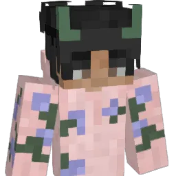 Das4ni Minecraft avatar bust