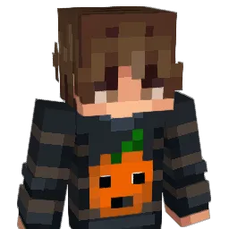 Minecraft-Avatar von DasFinn65: Büste