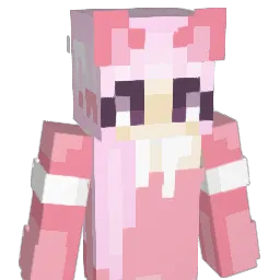 DasTinchen24 Minecraft avatar bust