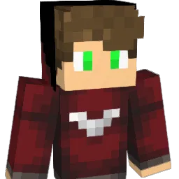 DashGames35 Minecraft avatar bust