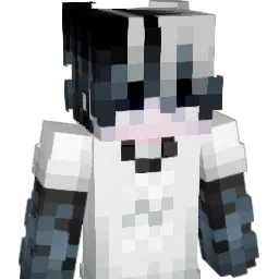 Dash_______ Minecraft avatar bust