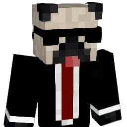 DatOneCoolGuy_01 Minecraft avatar bust