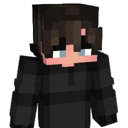 Datrix_14 Minecraft avatar bust