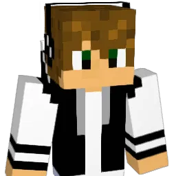 DaviD1113 Minecraft avatar bust