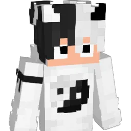 DaviSpadim Minecraft avatar bust