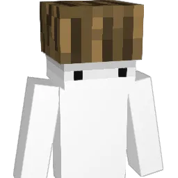 David12Sr Minecraft avatar bust