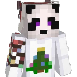 David266's Minecraft skin