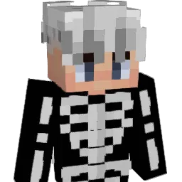 DavidDmc10 Minecraft avatar bust