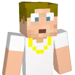 DavidSwagham Minecraft avatar bust