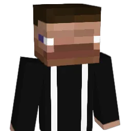 David___Wang's Minecraft skin