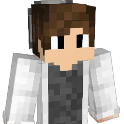 Davizz2812 Minecraft avatar bust