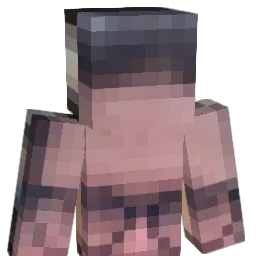Dawid256 Minecraft avatar bust