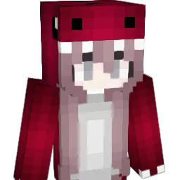 Dawid7171 Minecraft avatar bust