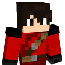 DawidB206 Minecraft avatar bust