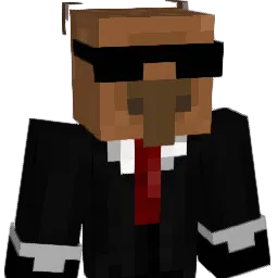Dawidek_112 Minecraft avatar bust