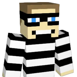 Dawidowski24 Minecraft avatar bust