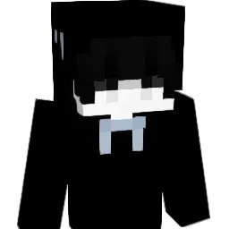 Dawn_8573 Minecraft avatar bust