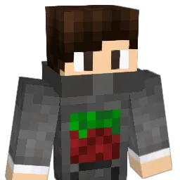 DeL33T_ Minecraft avatar bust