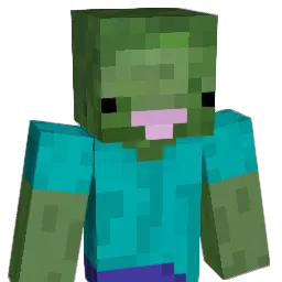 Debki