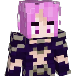 Deebs17 Minecraft avatar bust