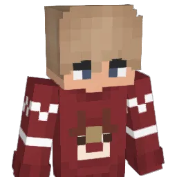 Dehydrierung Minecraft avatar bust
