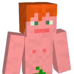 Delieth Minecraft avatar bust