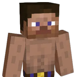 DelphicStardust Minecraft avatar bust