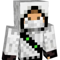 Delu200518 Minecraft avatar bust