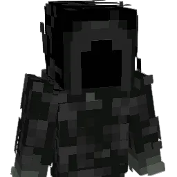 Dementor_113 Minecraft avatar bust