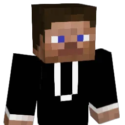 DemiseNinja Minecraft avatar bust