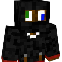 Den_Sorte_Ninja