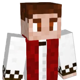 Denis135 Minecraft avatar bust