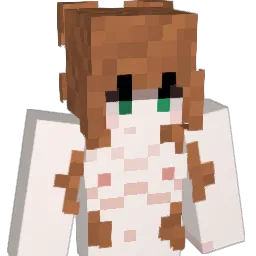 Dennacara Minecraft avatar bust
